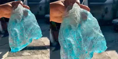 Vecinos denuncian envenenamiento de perros en Texmelucan; piden intervención de Bienestar Animal