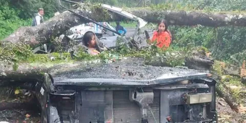 Familia es aplastada por un árbol en la Sierra Norte; los padres murieron