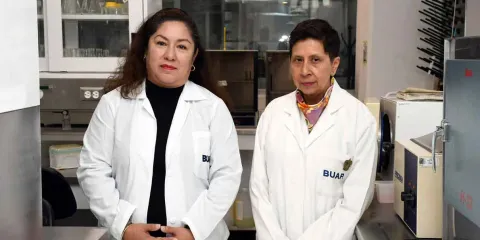 Esteroides anabólicos para tratar patologías con pérdida muscular