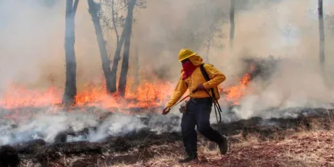 Puebla cerró temporada de incendios forestales con 304 casos