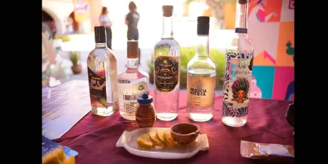 Feria del Mezcal y el Agave 2025 impulsará la economía y el turismo en Tochimiltzingo