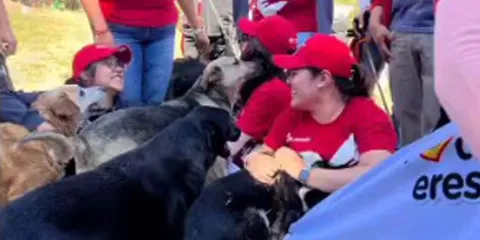 OXXO se suma al rescate animal en Atlixco y apoya al albergue “Narices Frías”