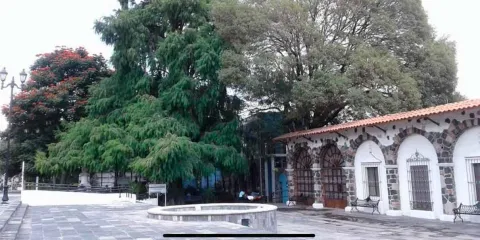 Vecinos de Atlixco al rescate del parque El Ahuehuete 
