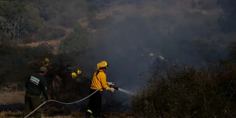 Puebla reduce 64% los incendios forestales en 2025 gracias a nuevas inversiones ambientales