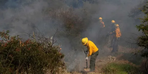 Convenio forestal busca prevenir incendios en Puebla durante 2025