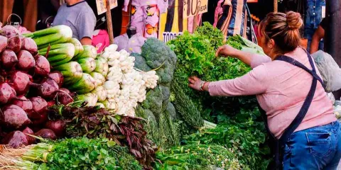 Servicios más caros, pero bajaron las frutas y verduras en Puebla en diciembre