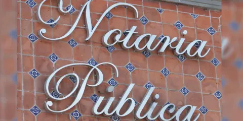 Cartel del Despojo