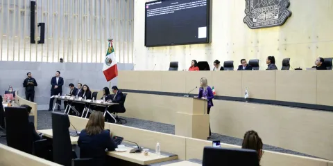 AN alega omisiones en sesión ordinaria y comparecencias 