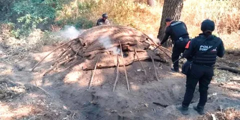 Aseguraron madera en los límites de Puebla con Tlaxcala