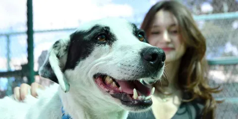CAETO, un espacio que preserva el bienestar de sus coterapeutas caninos