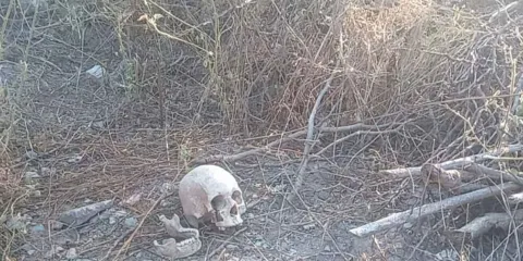 Hallan restos humanos en la privada El Álamo en Tehuacán
