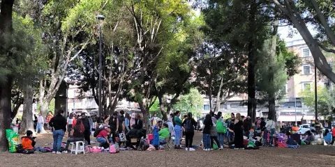 Las NENIS podrán instalarse los sábados en el Paseo Bravo