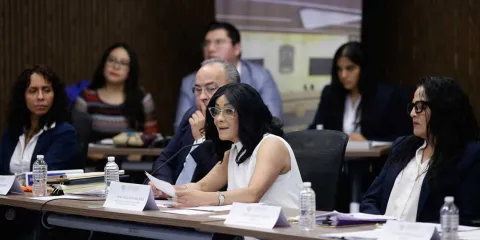 Innecesario para Derechos Humanos intervenir en la Ley de Ciberasedio: Sánchez Soya