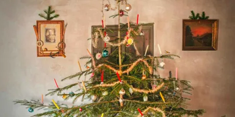 ¿Qué hacer con el arbolito navideño después de las fiestas? Opciones sostenibles para darle una segunda vida