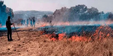 Controlan incendios forestales en Oriental y Amozoc  y destrullen hornos clandestinos