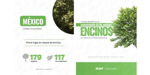 BUAP publica manual para cultivar encinos y refuerza conservación de Quercus en México