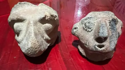 Hallan piezas arqueológicas en San Miguel Tianguizolco, comunidad de origen prehispánico