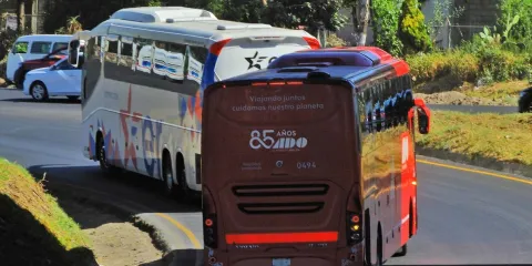 Estrella Roja, ADO y taxis darán servicio de transporte en la capital; HORARIOS, RUTAS Y TARIFAS
