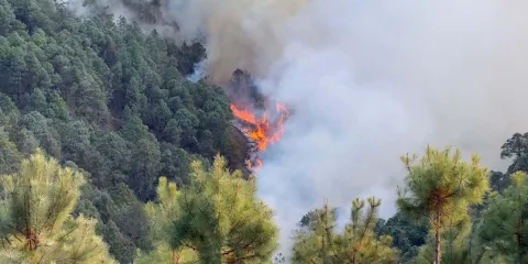 Fuego fuera de control en Vicente Guerrero, Puebla; desalojan hospital y avanzan llamas