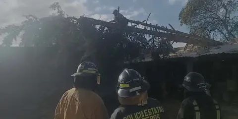 Fuertes vientos en Ciudad Serdán, causan caída de árboles y daños materiales