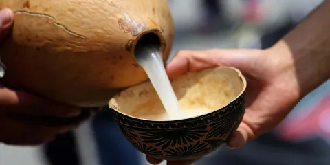 Historia del pulque en Puebla: cómo sobrevive esta bebida prehispánica en Atlixco