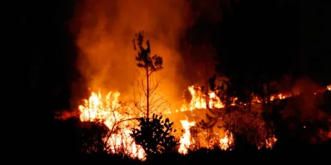 Sofocan incendio en el Cerro de los Zapotecas