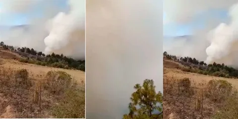 Incendio forestal fuera de control alarma a habitantes de Vicente Guerrero