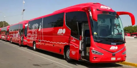 Morena respaldó idea del “Transporte Público Temporal” ante concesionarios irresponsables
