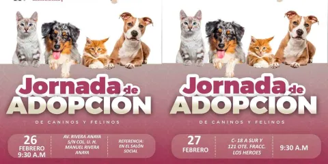 Pepe Chedraui invita a participar en las Jornadas de Adopción de Gatitos y Perritos