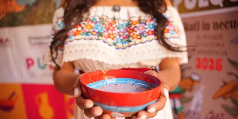Feria del Pulque 2026 en San Mateo Ozolco: tradición, gastronomía y vistas al volcán