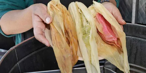 Tamales con fentanilo en la mira de Sheinbaum