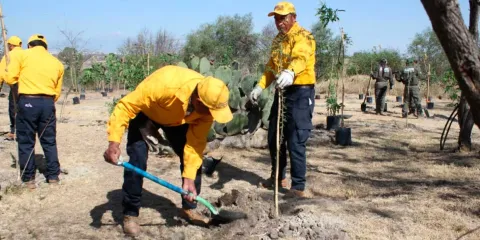 Reforestan el Parque Bicentenario