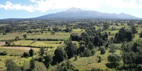 Armenta cierra paso a inmobiliarias y refuerza política ambiental en ecoparques