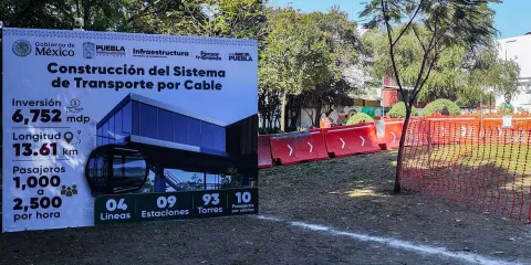 Revisión de líneas de Cablebús arrojan menos árboles afectados