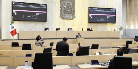 Para Graciela Palomares el lento trabajo de área jurídica legislativa empaña trabajo de diputados