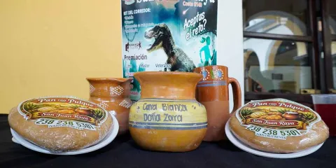 Festival del Pulque y Maguey 2026 en Zapotitlán Salinas busca rescatar tradición pulquera