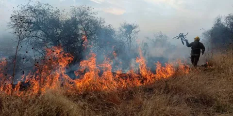 Incendio en el cerro Totolquemec en Texmelucan