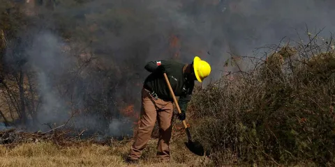 Incendios forestales en Puebla aumentan 44% y afectan más de 2 mil hectáreas en 2026