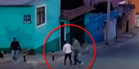 Gobernador de Puebla exige sanción por ataque a mujer que defendió perros