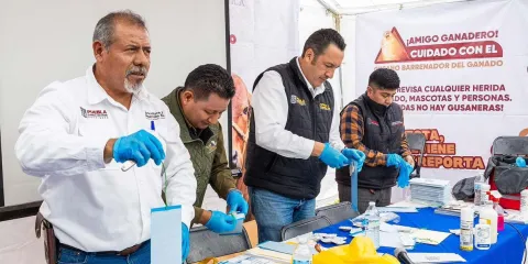 Puebla refuerza prevención del gusano barrenador en la Sierra Negra