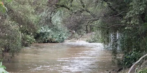 Huejotzingo impulsa saneamiento del río Atoyac con nueva planta de tratamiento
