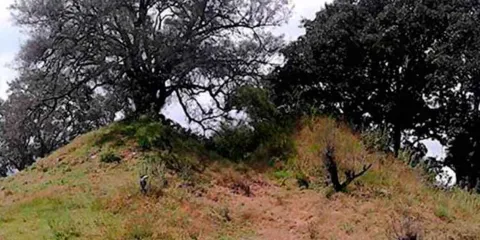 Denuncian saqueo arqueológico en la zona de La Pedrera, en Tlalancaleca