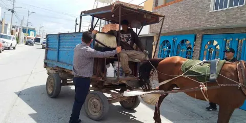 Adiós a los caballos y carretas en Texmelucan; ahora recolectarán basura en motos
