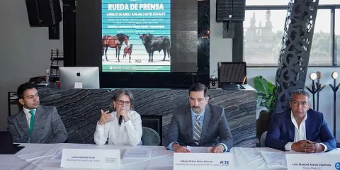 PETA Latino impulsa acciones legales y reformas en defensa de animales 
