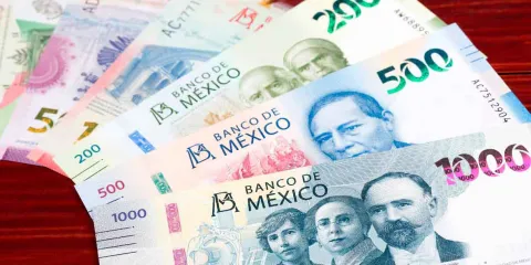 La CTM se declaró preparado para lidiar con el  Reparto de Utilidades