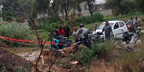 Cayó rama de árbol y mató a motociclista en Texmelucan
