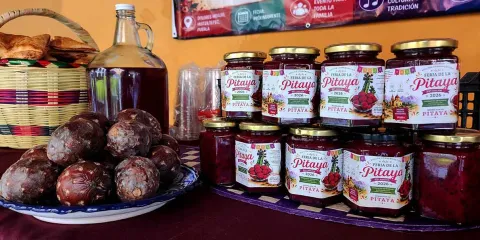 El 30 y 31 de mayo la Feria de la Pitaya en Huitziltepec 