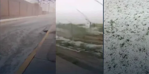 Granizada deja severos daños en cultivos de frambuesa en Huejotzingo