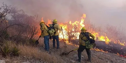 Helicóptero y brigadistas combaten incendio forestal en Cohetzala