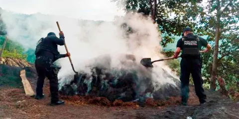 Policía Forestal destruye siete hornos clandestinos en Zautla, Puebla